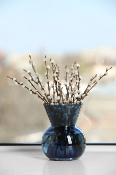 beautiful pussy willow branches in vase on window sill