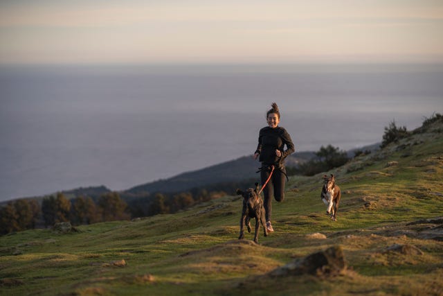 corsa con i cani