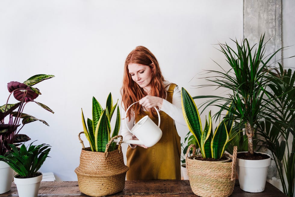 mujer regando plantas