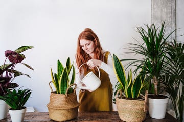 mujer cuidando plantas de interior