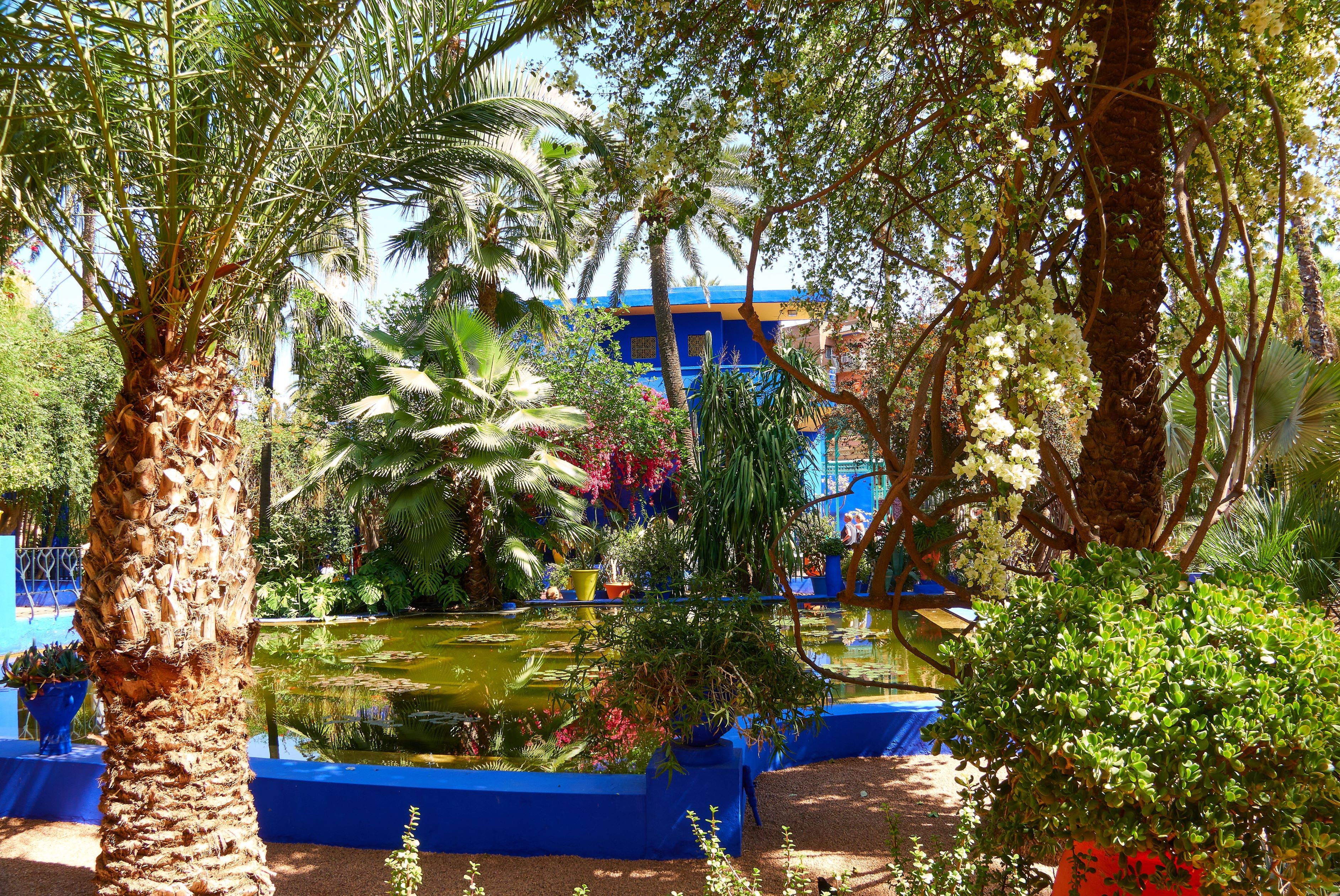 イヴ・サンローランが愛したモロッコのマジョレル庭園を造園家・齊藤 