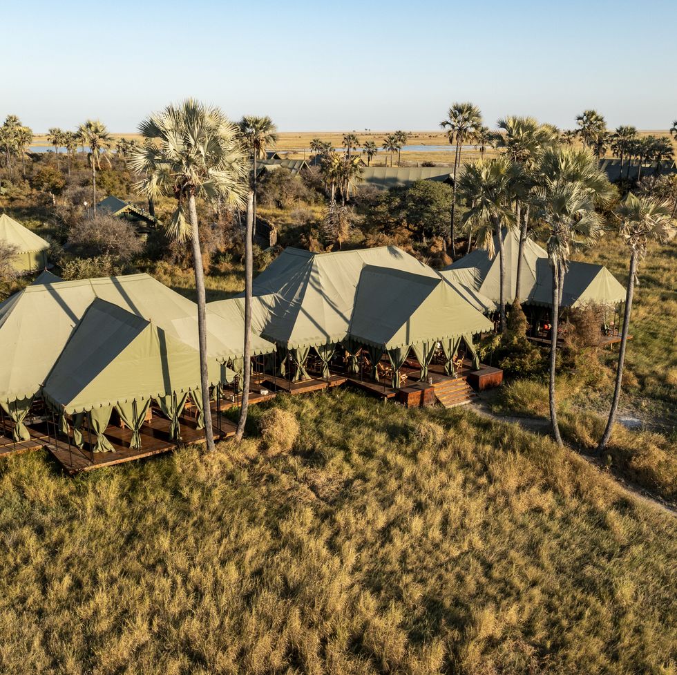 jacks camp is a luxury safari tented lodge built with 1940 style decor