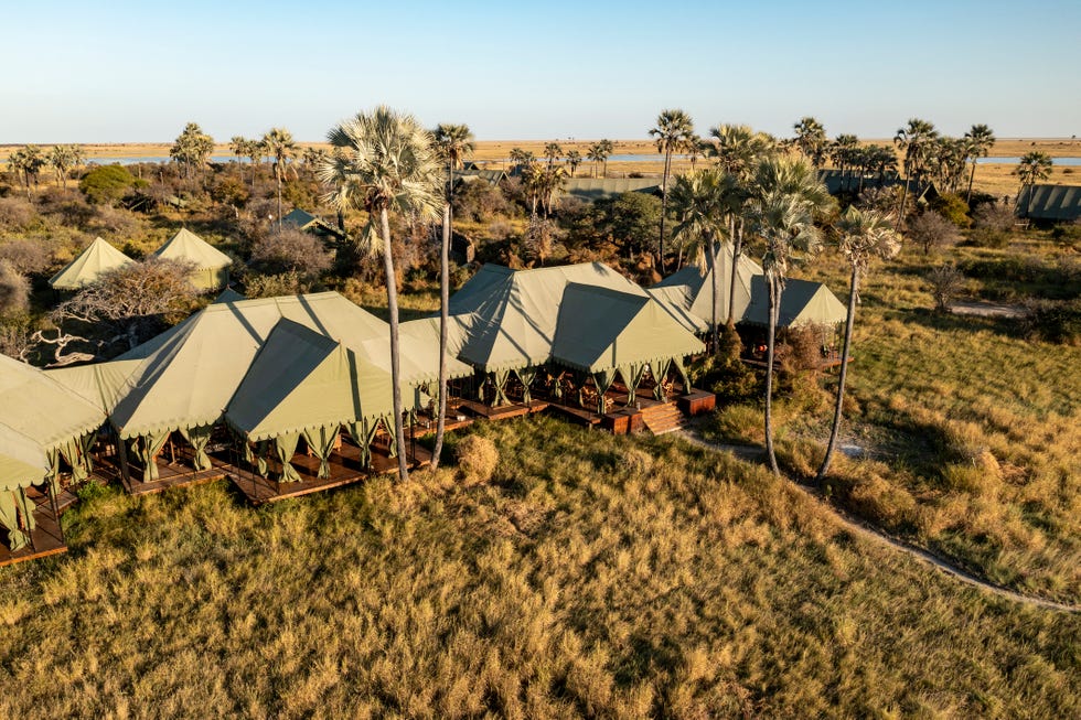 jacks camp is a luxury safari tented lodge built with 1940 style decor