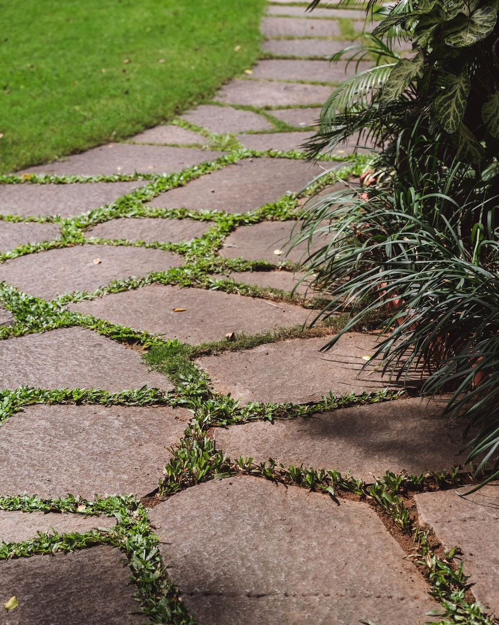stone pathway on green grass