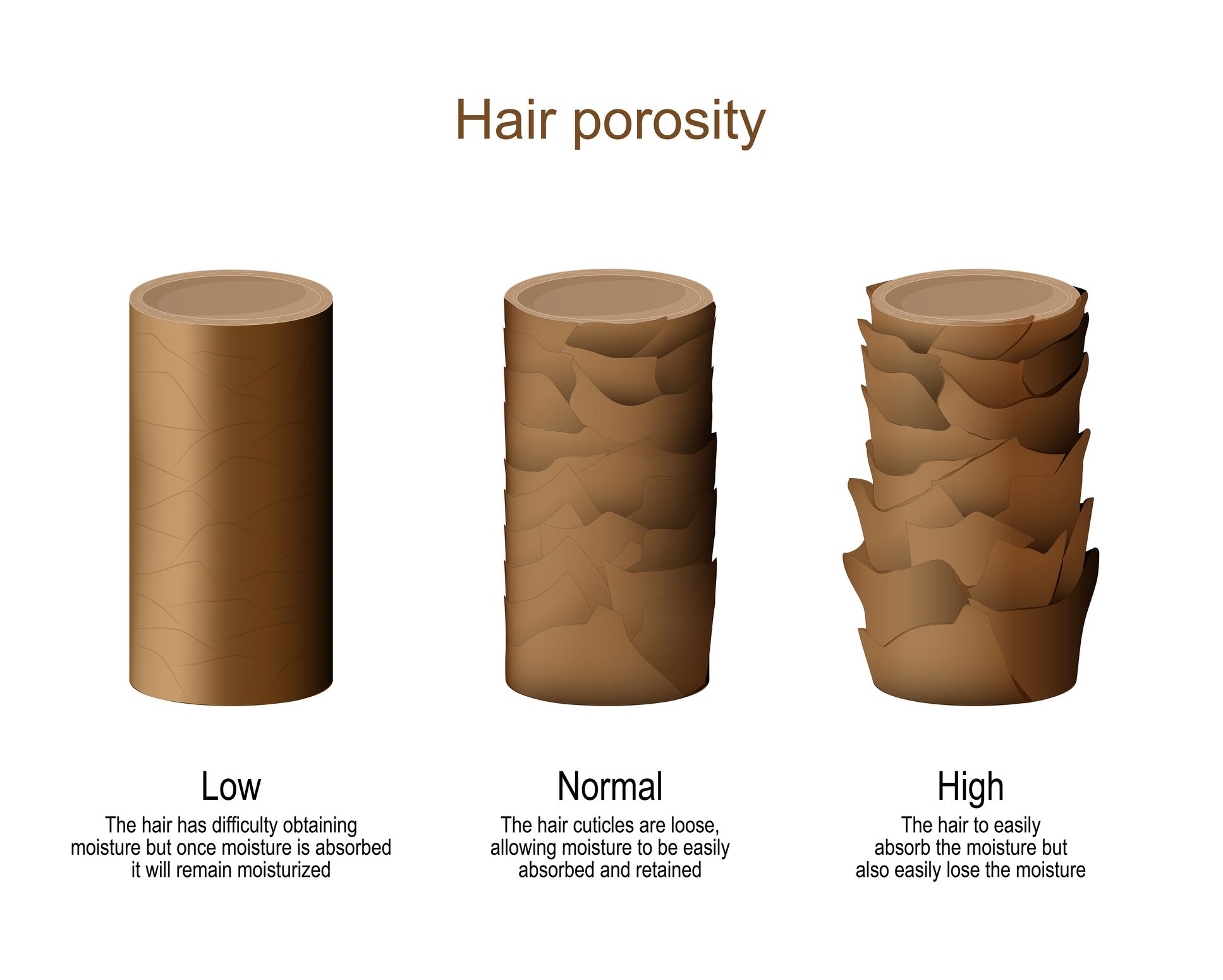Low Porosity Hair Treatment, Characteristics, Care Tips, and Products