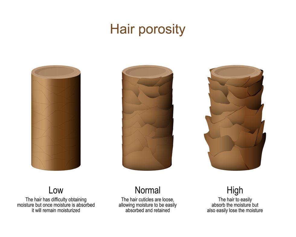 hair porosity  low   difficulty obtaining moisture normal   allowing moisture to be easily absorbed and retained high   hair to easily lose the moisture