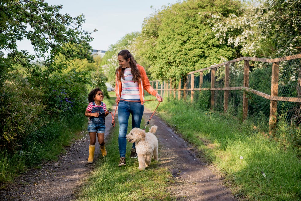 young girl and her mother walking their pet labradoodle down a path