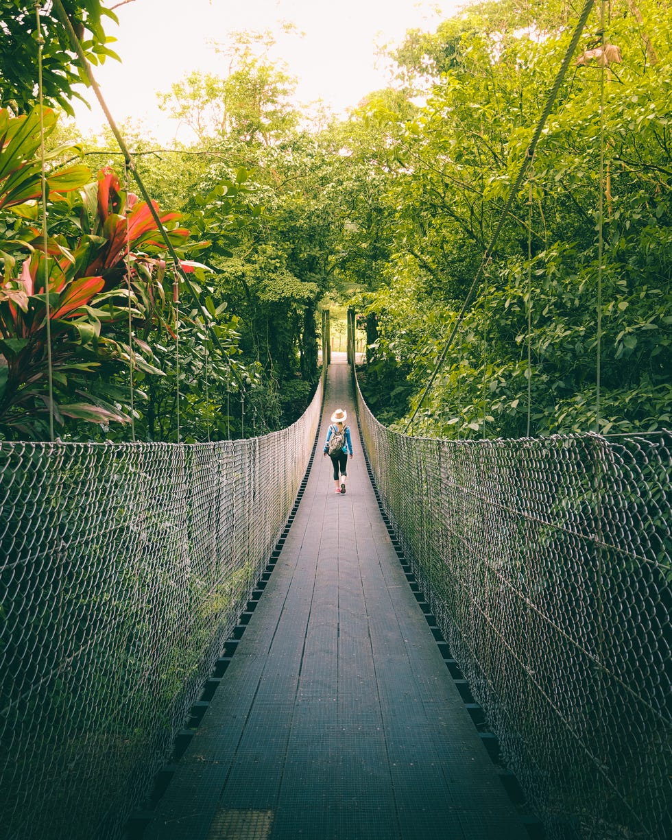 woman walking on the bridge in the jungle of costa rica