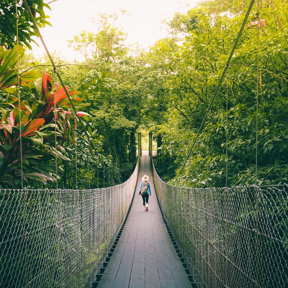 woman walking on the bridge in the jungle of costa rica