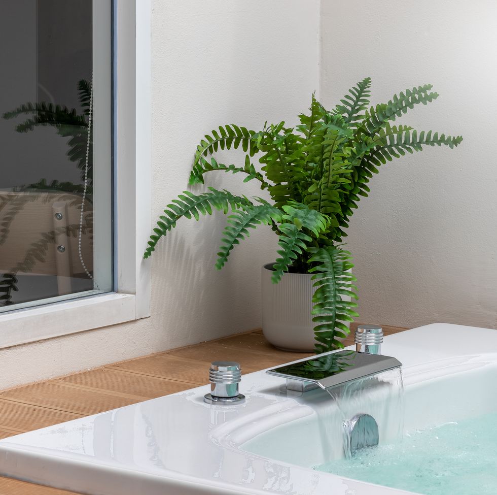 close up beautiful white bathtub with fern