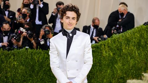 preview for Timothée Chalamet is Hollywood’s Latest Leading Man