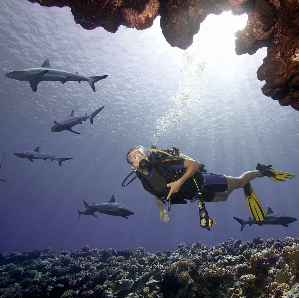 young woman diving with sharks on pacific atoll