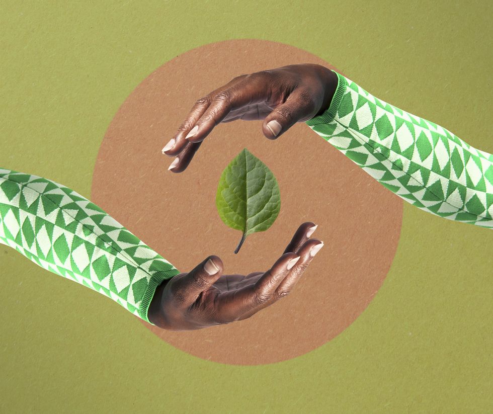 hands surrounding leaf against green background