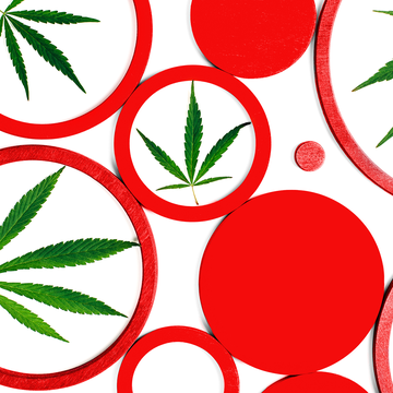 abstract background made of multicolored circles and cannabis leaves top view