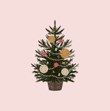 when to take christmas tree down