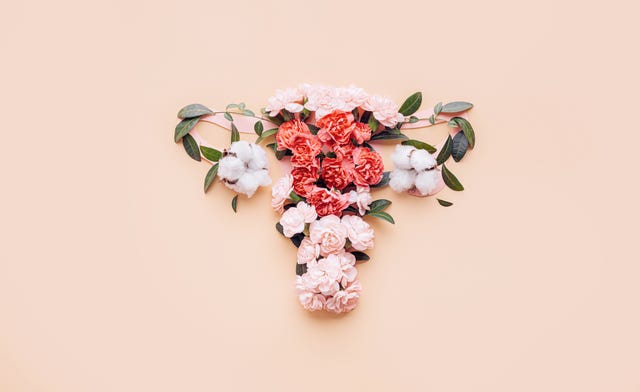 conceptual abstract image of the female reproductive system female uterus with vagina and ovaries