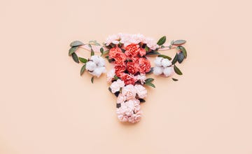 conceptual abstract image of the female reproductive system female uterus with vagina and ovaries
