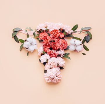 menopause symptoms conceptual abstract image of the female reproductive system female uterus with vagina and ovaries