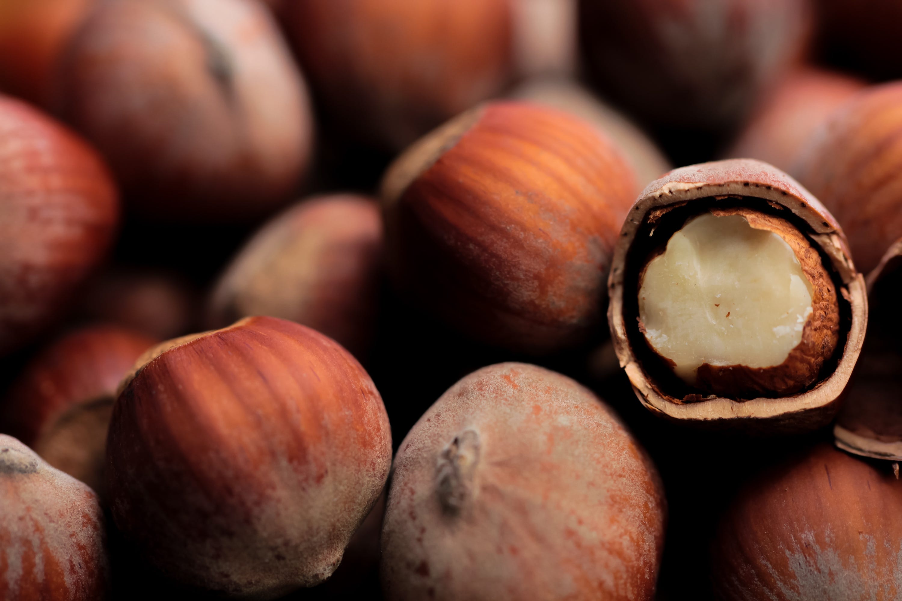 macro shot of hazelnuts,full frame shot of chestnuts