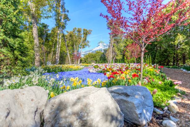 The 10 Best Flower Festivals to Attend This Year Around the World