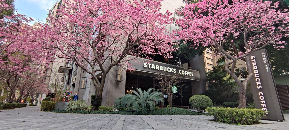 starbucks new taipei city taiwan springtime