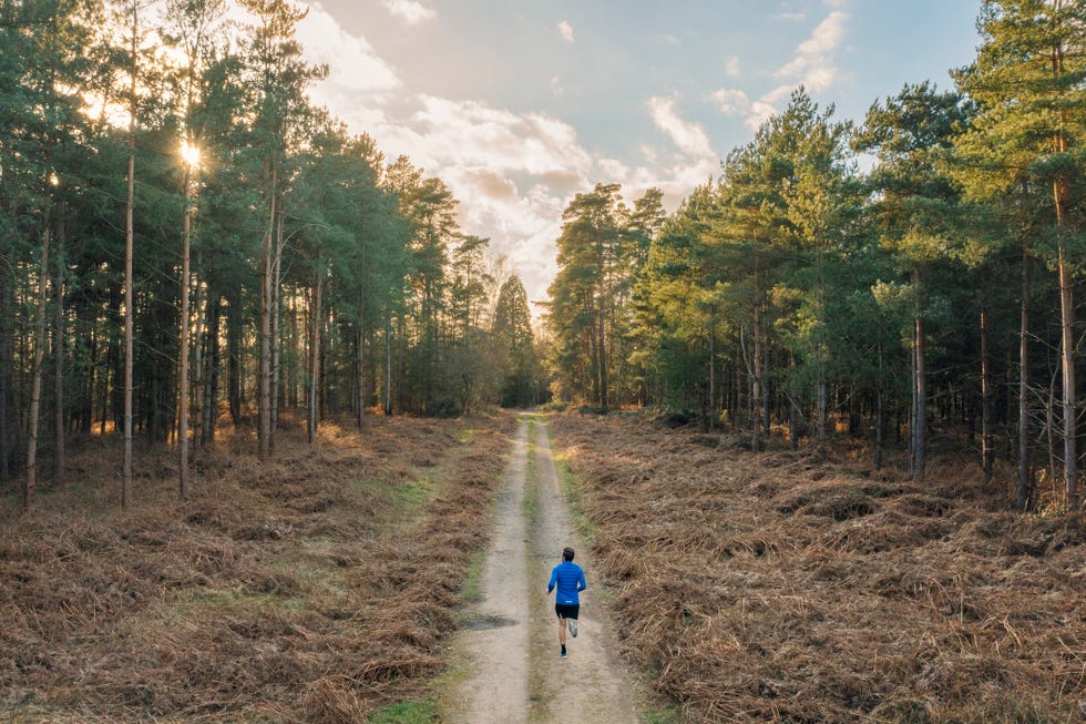 persona corriendo por el bosque