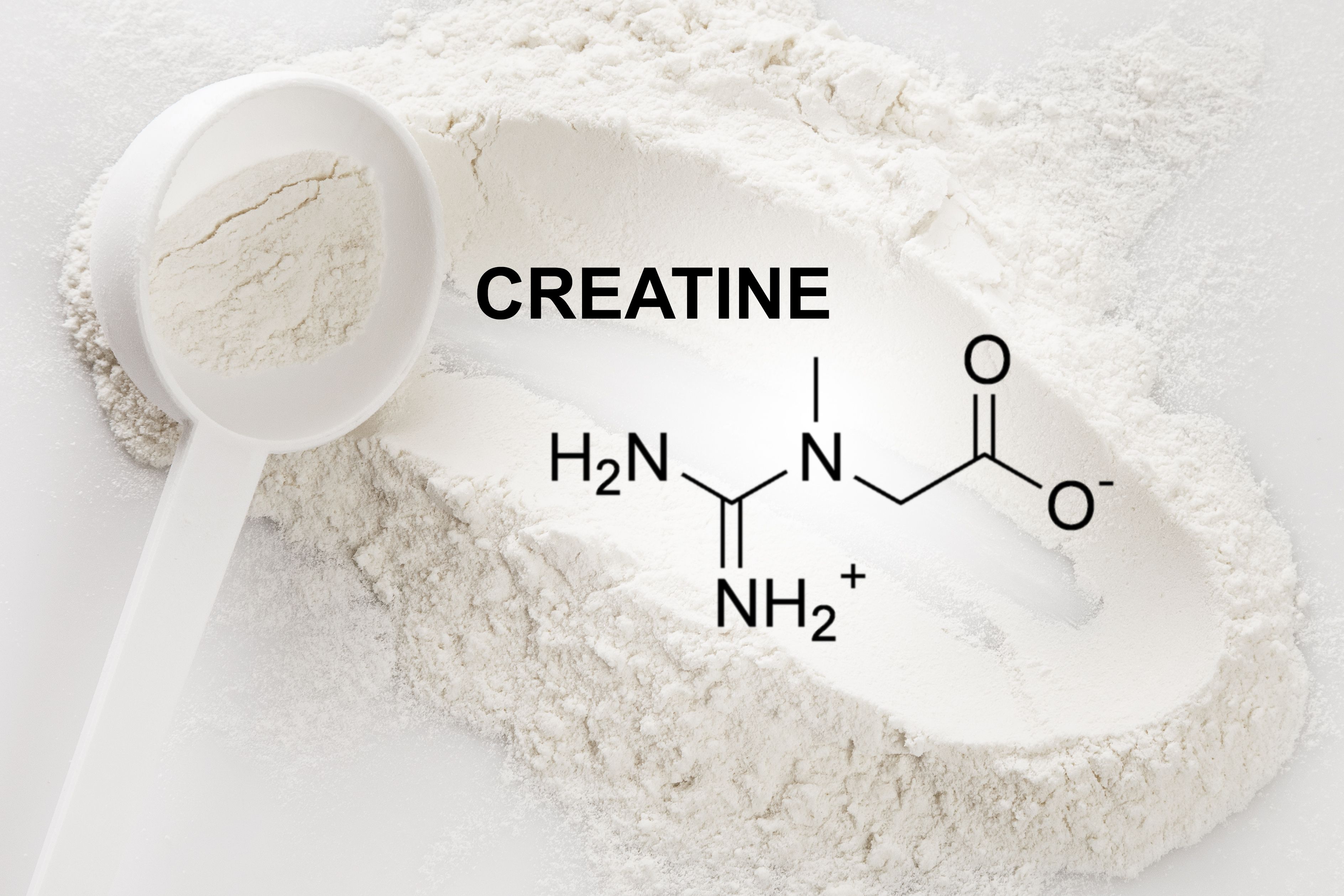 Creatine Monohydrate Powder