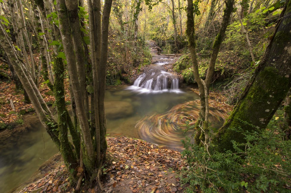 ruta del agua de berganzo