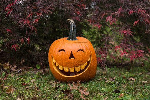 15 Best Halloween Activities of 2023 - Fun Halloween Things To Do