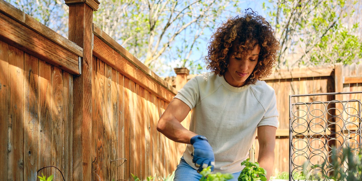 march gardening