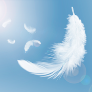 white fluffy feathers floating in the sky swan feathers flying in heavenly
