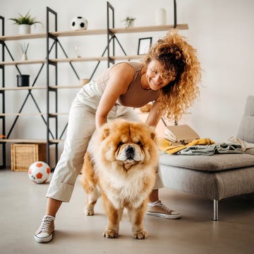 Mujer con perro mujer con perro