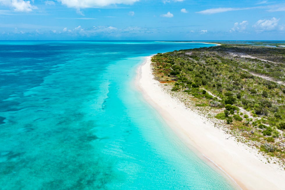 white sand of 11 mile beach washed by the crystal sea, overhead view, barbuda, antigua  barbuda, leeward islands, caribbean