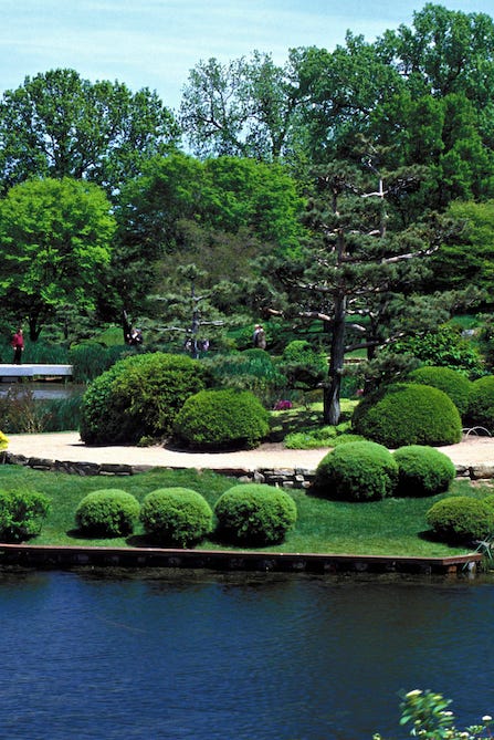 CHICAGO BOTANIC GARDEN- JAPANESE GARDEN. EXTENSIVE COLLECTION OF PLANTS AND GARDENS. GLENCOE, ILLINOIS