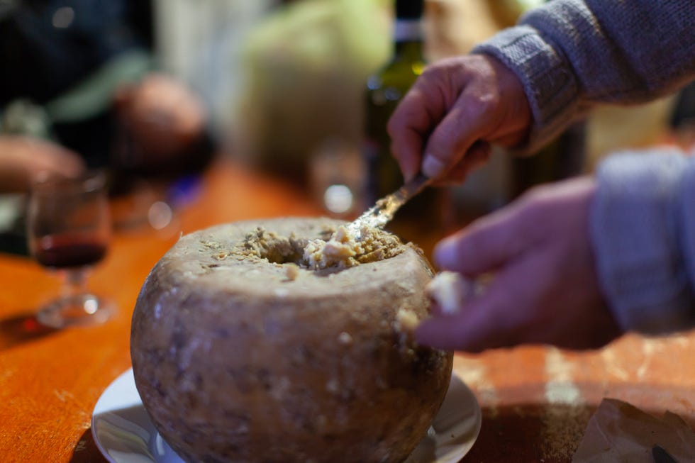 casu marzu
