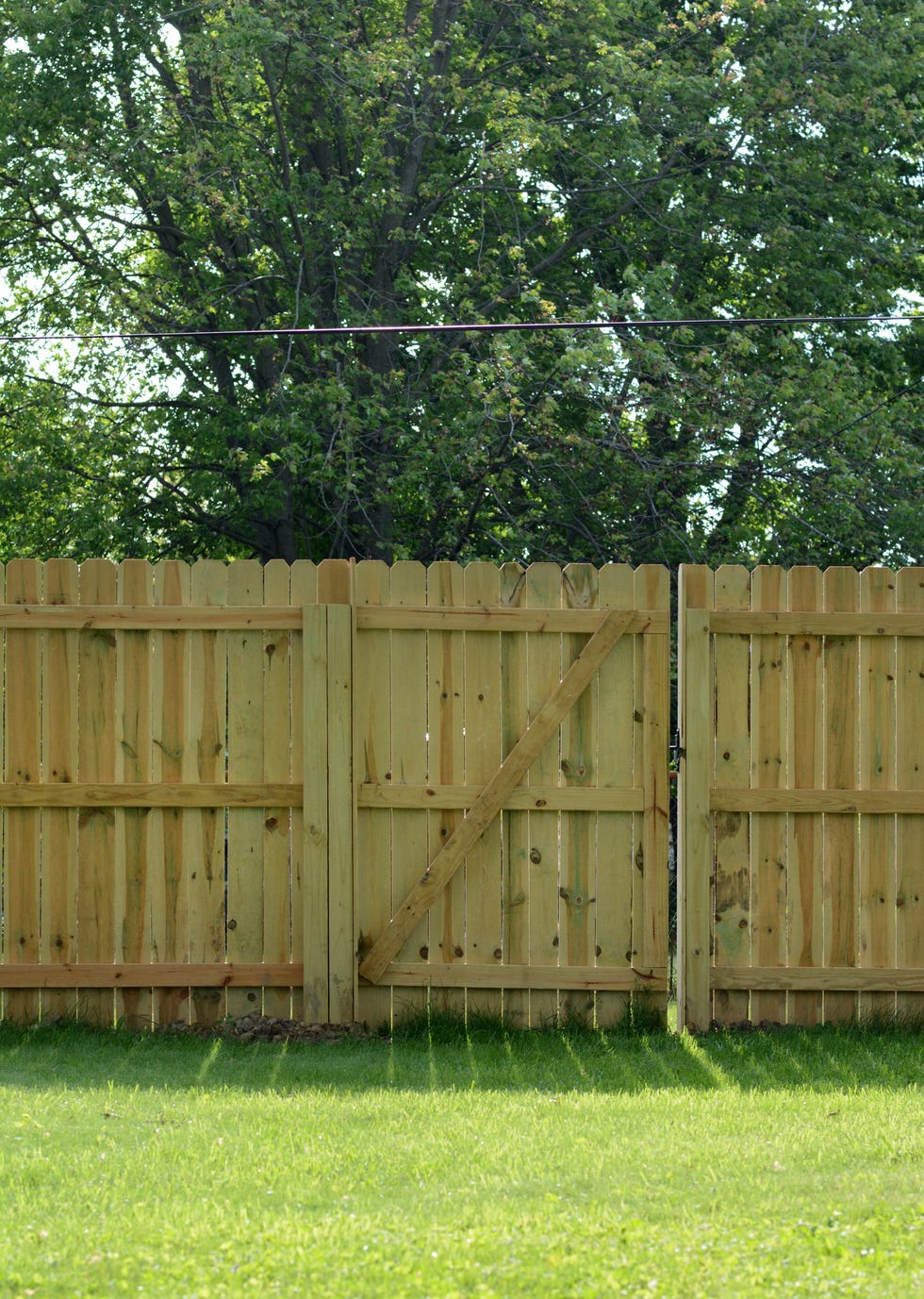 cheap fence ideas