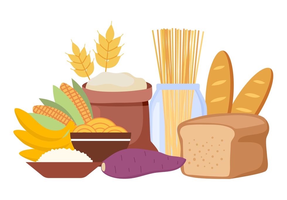 carbohydrates food concept vector illustration on white background bread, rice, corn, spaghetti, noodles and wheat in flat design