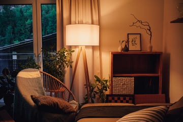 cozy living room in the evenign with potted plants decorated with furniture in natural colors