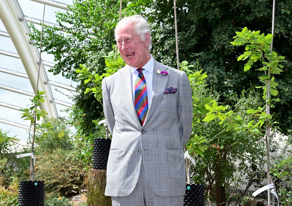 llanarthne july 06: prince charles, prince of wales laughing during a visit to the national botanic garden of wales on july 06, 2022 in llanarthne, wales. as part of the welsh government’s contribution to the queens platinum jubilee, oak saplings which were felled by a storm in 2013 are being propagated and replanted. the prince of wales has been patron of the national botanic garden of wales since 2000. the botanic garden occupies a unique position within wales as a botanic garden within a registered historic parkland, it is a registered charity committed to the well being of people, plants and the planet through conservation, inspiration and education. the prince of wales and camilla, duchess of cornwall are undertaking engagements for wales week 2022. (photo by matthew horwood pool/getty images)