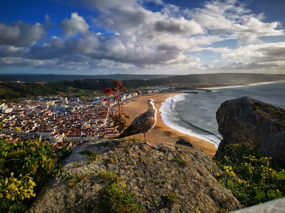 praia da nazaré in portugal