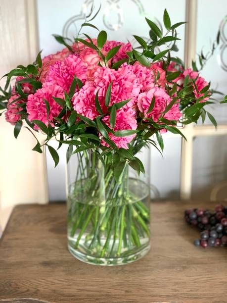 carnations in vase
