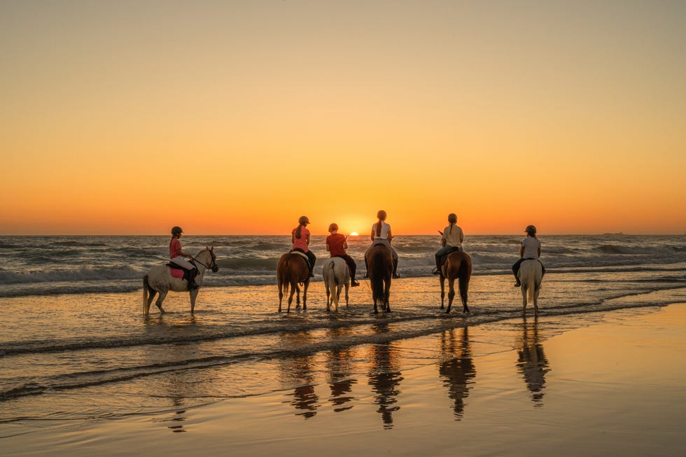 6 young riders mounted on their horses watching the sunset with the horses treading water sunset