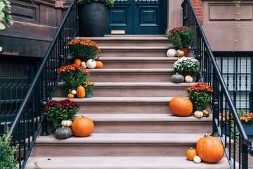 autumn mums on a stoop