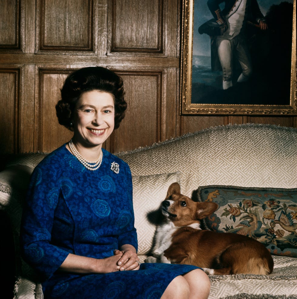 The Queen with one of her corgis