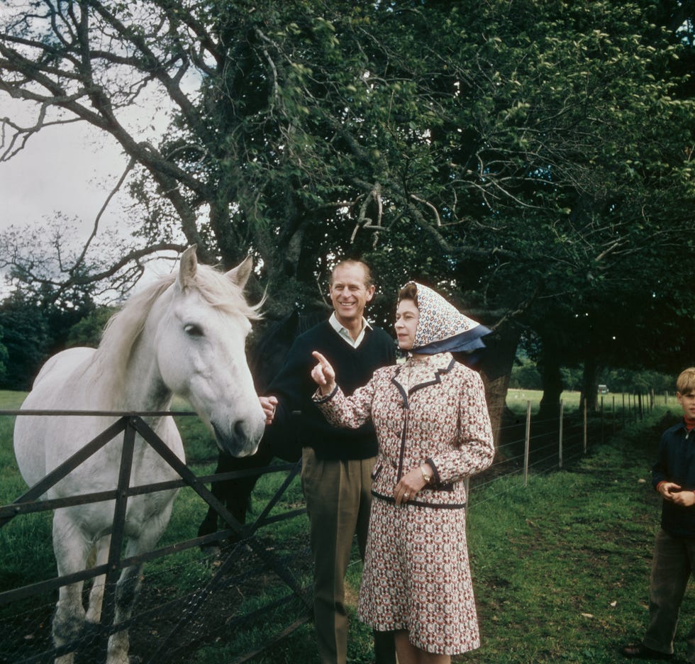 Queen Elizabeth II and Prince Philip visit the farm on their Balmoral estate in Scotland during their silver wedding anniversary, September 1972. Photo by fox photoshulton Archive Getty Images