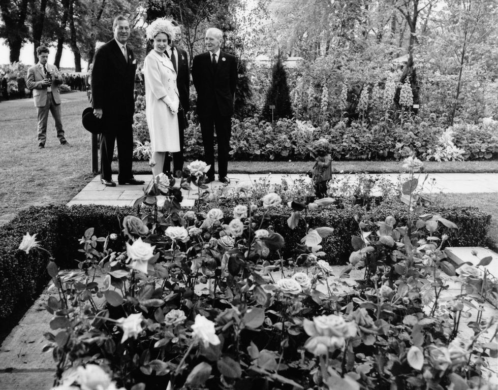 queen elizabeth ii viewing a rose bed, exhibited by 'popular gardening' magazine, during a tour of the chelsea flower show, london, 22nd may 1962 photo by george frestonfox photoshulton archivegetty images