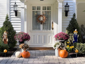 colourful pumpkins, gourds and mums create a luxury autumn halloween and thanksgiving landscaping decor