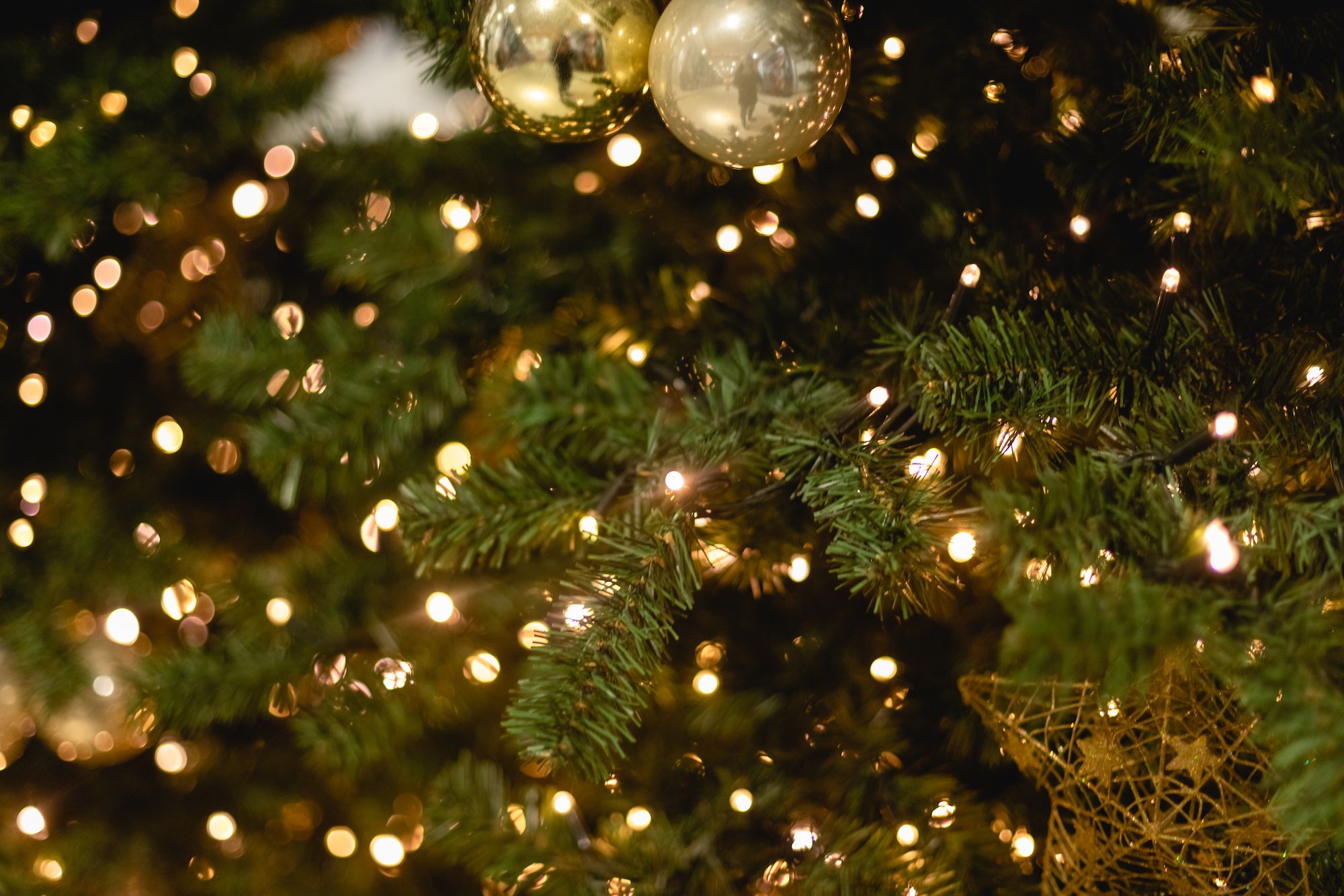 Best Christmas Tree Lights 2023, Indoor Christmas Lights, HGTV Top Picks