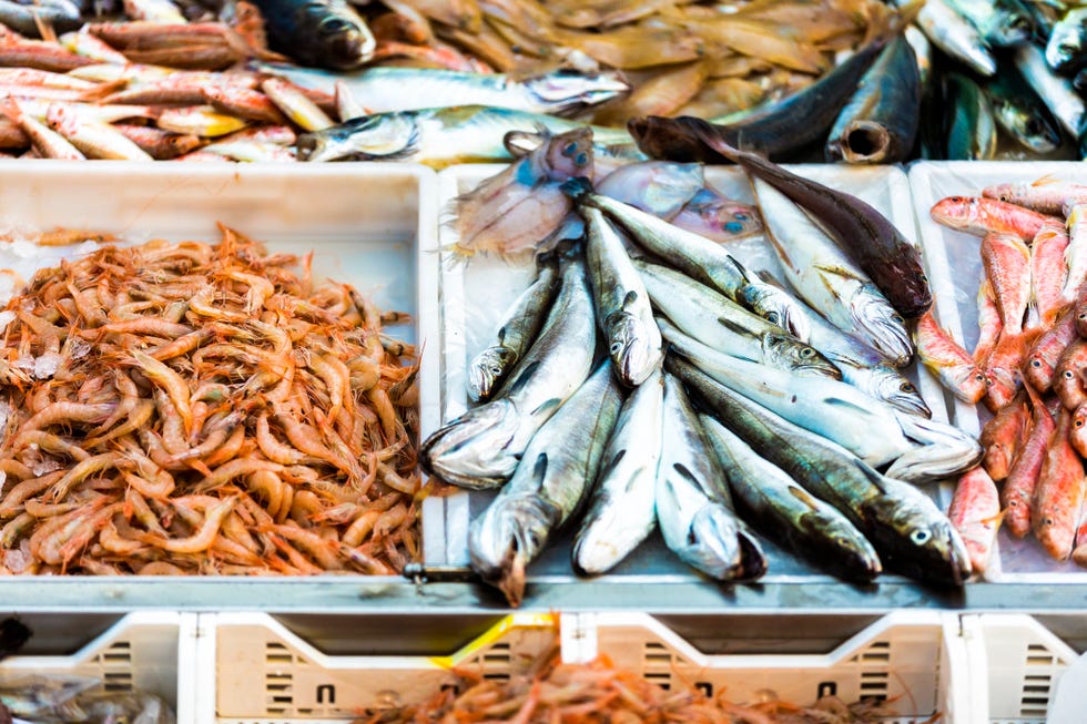 pesce