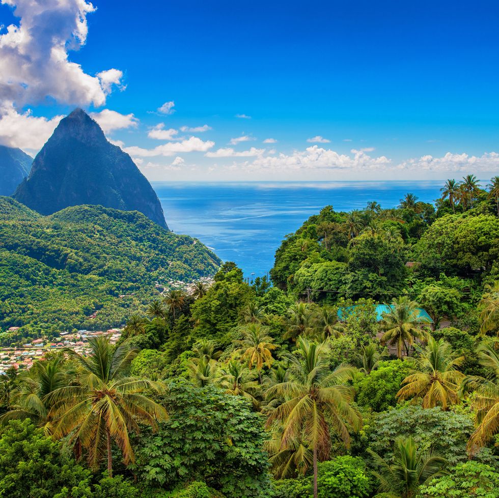 the pitons in st lucia